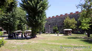 L'estate su grande schermo con il cinema all'aperto nel Parco delle Concette - PisaToday