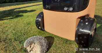Leuven roept op robotmaaiers enkel overdag te gebruiken - Het Laatste Nieuws