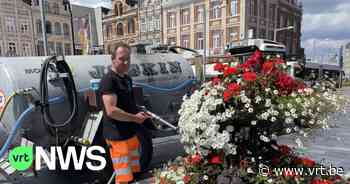 Stad Leuven houdt extra gietbeurten tijdens hittedagen: “Niet met drinkwater, wél met gerecupereerd water” - VRT NWS