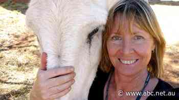 Independent review finds SafeWork SA's investigation of murdered nurse was thorough