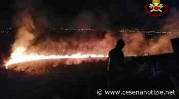 Incendio in via Monte alla Massa nel comune di Cesena domato nelle notte - cesenanotizie.net