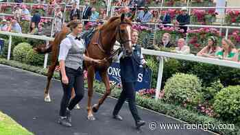 Baden-Baden next for Torquator Tasso before Arc defence - Racing TV