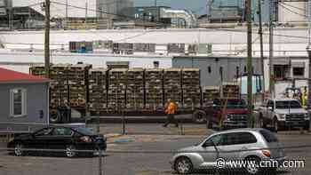 DOJ accuses poultry processors of underpaying workers for decades