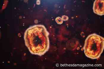 County health officials monitoring cases of monkeypox as latest coronavirus wave continues - BethesdaMagazine.com
