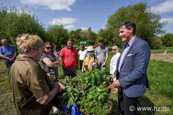 Interkulturelle Aktion: Zusammen gärtnern: So läuft's im Krautgärtle in Giengen - Heidenheimer Zeitung
