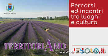 Territoriamo - Comune di Jesolo