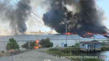 Factory Burning In Sutter Creek