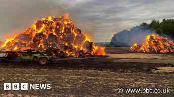 Essex fire crews tackle three large field fires