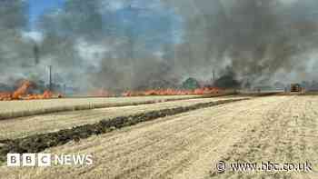 Essex Firefighters tackle 10-acre Ongar corn field blaze