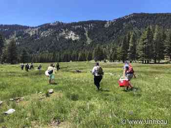Passion drives a renewed vision for teaching and research in the forest - Nevada Today