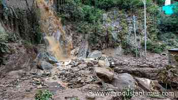 Experts raise concern over new rule over proposals to divert forest land for other uses - Hindustan Times