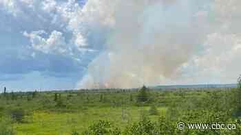 Bay d'Espoir Highway closed for 2nd day as forest fire continues to burn out of control - CBC.ca