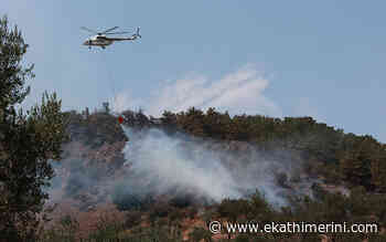 Fire Service reports 58 forest fires in 24 hours - Kathimerini English Edition