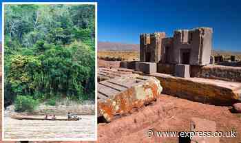 Archaeology breakthrough as lost 'massive landscapes' found in ancient Bolivian forest - Express