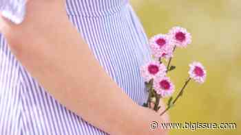 Book reviews: Still Born by Guadalupe Nettel, and The Drowned Forest by Angela Barry - Big Issue