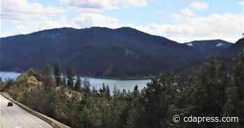 Rosie Cedar project aims to improve forest health - Coeur d'Alene Press