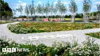 Waltham Forest park party sees man shot dead - BBC