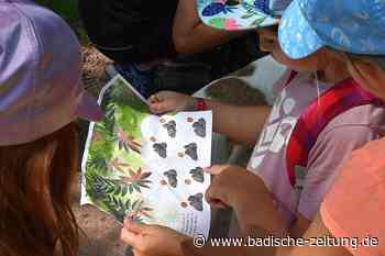 Sommer, Spiele, Spaß: Rund um Emmendingen wird es den Kindern nicht langweilig - Emmendingen - badische-zeitung.de