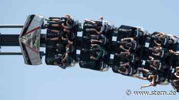 Europa-Park Rust: Schleudersitz für Ente: Video geht viral Instagram - STERN.de