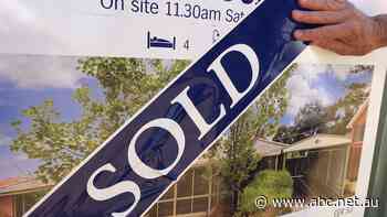 Live: NSW: Sydney house prices fall at fastest rate in 40 years