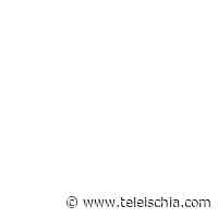 Violenza donne: Aldrovandi ,'a Como ennesimo femminicidio e ddl è fermo da 2 mesi' - TeleIschia