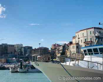 Pesca, fermo biologico: confermato lo stop dal 15 agosto - quotidianomolise.com - Il Quotidiano del Molse