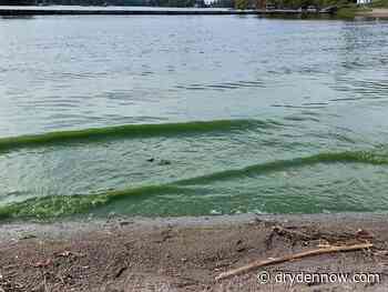 Toxic algae reported at four area lakes - DrydenNow.com