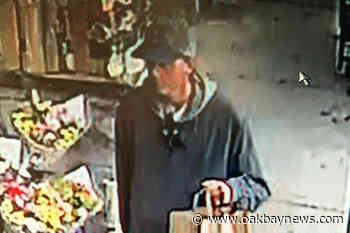 One of two liveaboard residents wanted in Saanich spotted on Sunshine Coast - Oak Bay News