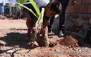 Ciudadanos preparan tres bosques urbanos en Hermosillo - El Sol de Hermosillo
