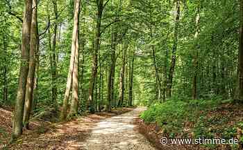 Mit dem Klimawandel umgehen: Verband tagt in Eppingen - Heilbronner Stimme