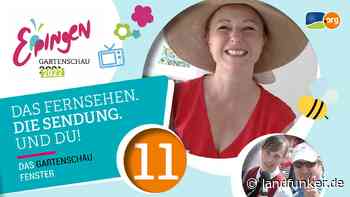 EPPINGEN | "Das Gartenschaufenster Nr. 11 von KraichgauTV" mit dem Heimattage-Festumzug, Teil II - Landfunker