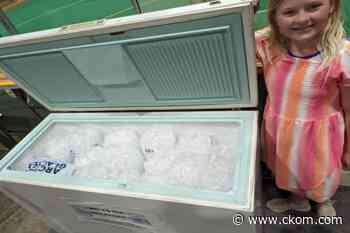 Saskatoon kid beats the heat with ice business - CKOM News Talk Sports