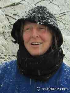 Amy L. Brogla-Wilcox, 55 - Pope County Tribune