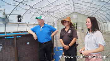 B.C. premier pitches plan for less gas from cattle - Saanich News