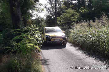 Via Donati: erba da sfalciare. Un cittadino sollecita il Comune - Il Nuovo Torrazzo