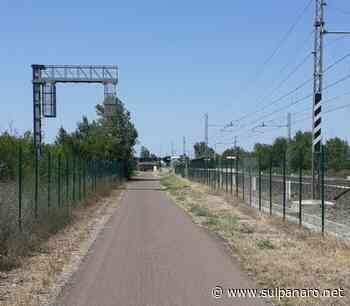 Mirandola, sfalcio dell'erba nel tratto comunale della Ciclovia del Sole - SulPanaro