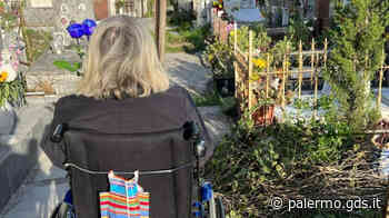 Palermo, al cimitero di Sant'Orsola l’erba alta blocca la sedia a rotelle: visite vietate a Silvia - Giornale di Sicilia