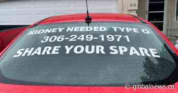Saskatoon woman hopes message seen on car will help her find kidney donor