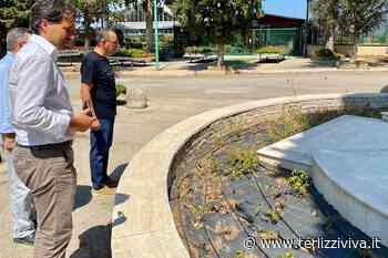 Disinfestazione, stanotte le operazioni a Terlizzi - TerlizziViva