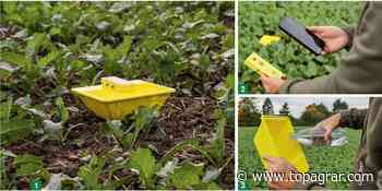 Raps: Die Gelbschale wird digital | top agrar online - top agrar online