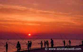 Soverato, la pesca sportiva al tonno alletterato non sia bracconaggio! - Soverato Web