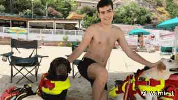 Soverato: i Labrador dei SICS salvano due adolescenti in balia delle onde (Foto) - Wamiz