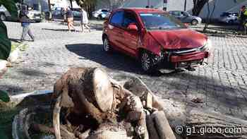 Árvore cai e atinge dois carros na Zona Leste de Natal - Globo.com