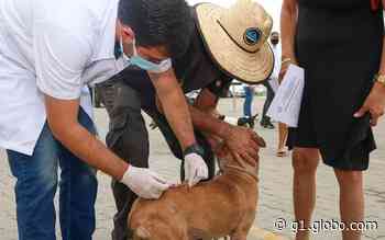 Natal terá vacinação antirrábica neste sábado (23) em Mãe Luiza e Pitimbu - Globo.com