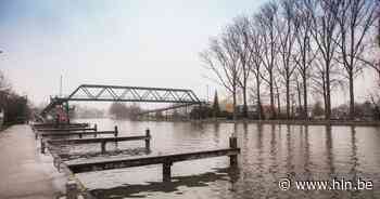 Verhuis van ganzen aan Passantenhaven blijkt gevoelig thema in Bocholt - Het Laatste Nieuws