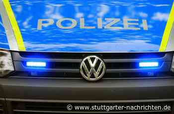 Polizei sucht Zeugen: Spielplatz in Wendlingen verwüstet und jetzt gesperrt - Stuttgarter Nachrichten
