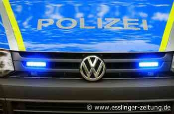 Polizei sucht Zeugen - Spielplatz in Wendlingen verwüstet und jetzt gesperrt - esslinger-zeitung.de