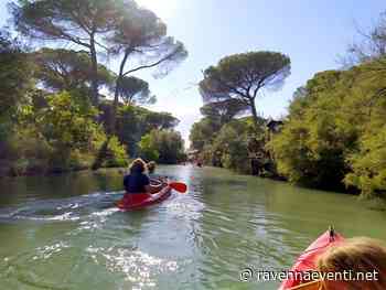 Dall'alba alla sera al Festival Naturae - RavennaEventi