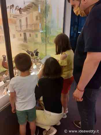 Ad Alba si va alla scoperta dell’ambiente nell’antichità con “Il Museo dei Piccoli – Estate” - IdeaWebTv
