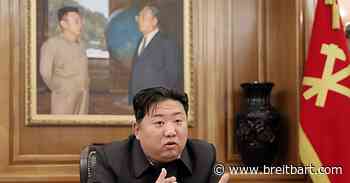 North Korea Suggests U.S.-Backed Ukraine Biolabs Concocted Coronavirus – and Hepatitis – and West Nile - Breitbart